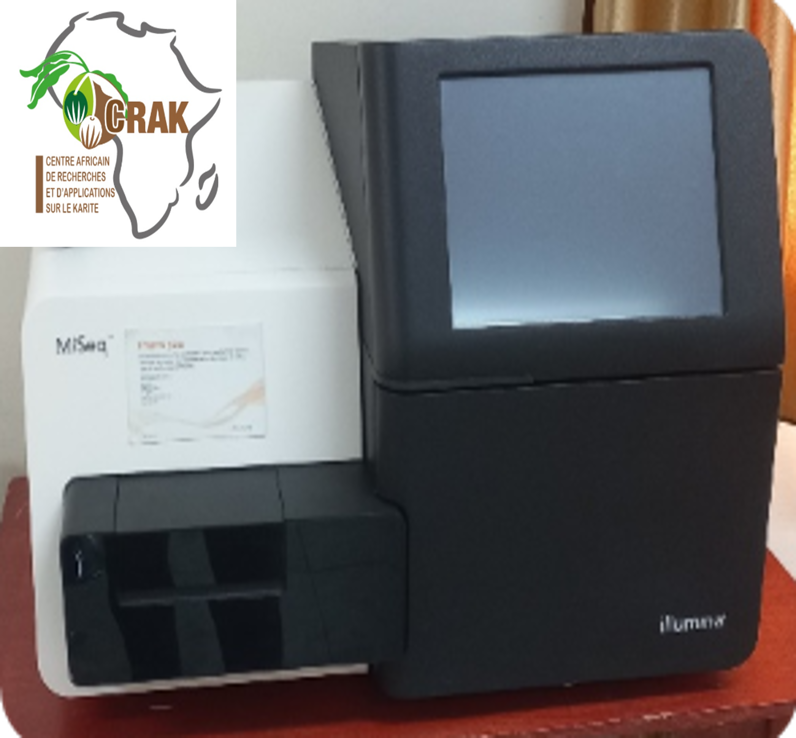 Séquenceur automatique (MiSeq)